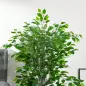 Planta Ficus Artificial 135 cm en Maceta con 756 Hojas Planta Sintética Realista para Interior