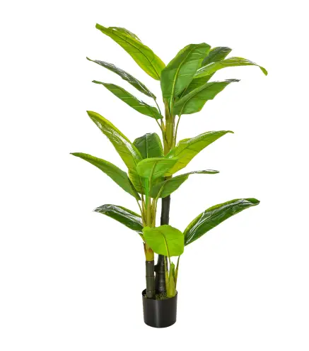 Platanera Artificial