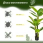 Platanera Artificial