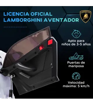 Coche Eléctrico Infantil