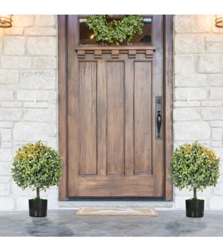 Planta Artificial