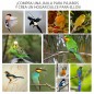 Jaula para Pájaros Jaula para Pájaros