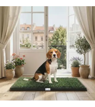 Inodoro para Perros con Césped Artificial 76x50,5 cm Bandeja Sanitaria para Perros para Entrenamiento con Drenaje Verde