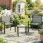 Conjunto de Mesa y Sillas de Terraza Exterior 3 Piezas con 2 Sillas de Textilene Mesa de Vidrio Templado Gris Claro