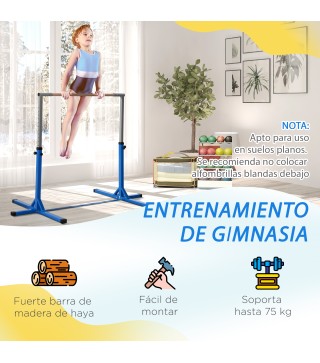 Barra de Gimnasia