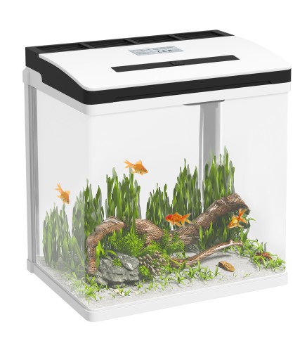 Acuario de Cristal