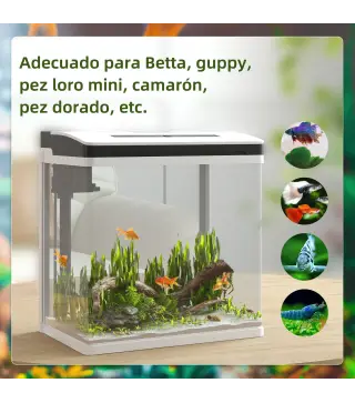 Acuario de Cristal