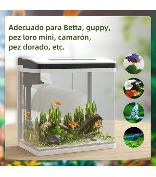Acuario de Cristal