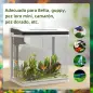 Acuario de Cristal de 13L Pecera Pequeña con Sistema de Filtro Iluminación LED Bomba de Agua 29x20x30,5 cm Blanco