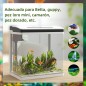 Acuario de Cristal Acuario de Cristal