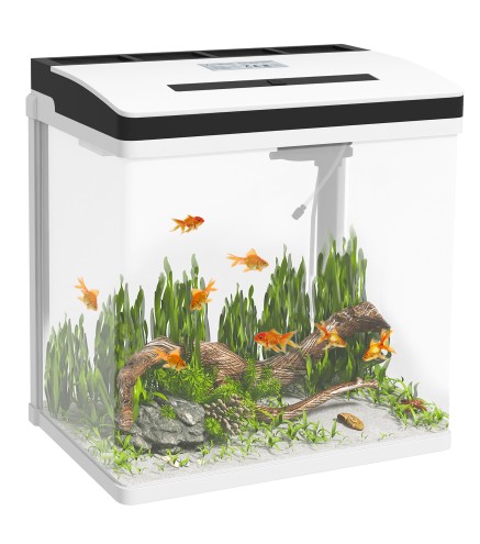Acuario de Cristal