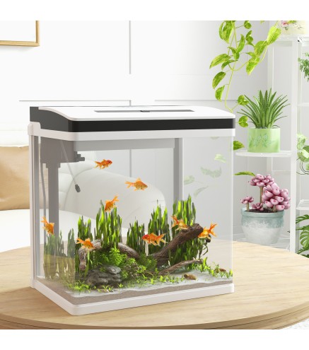 Acuario de Cristal