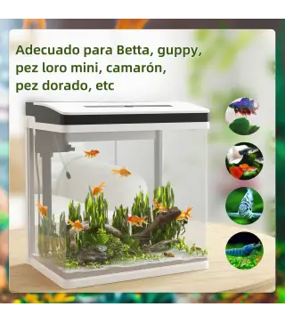 Acuario de Cristal