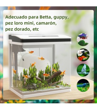 Acuario de Cristal