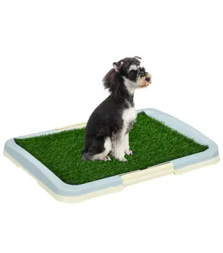 Inodoro para Perros