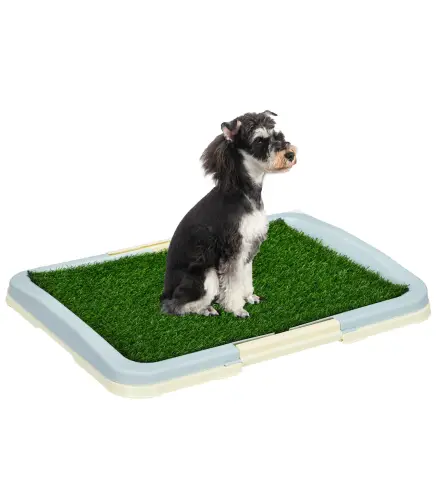 Inodoro para Perros