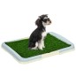 Inodoro para Perros Inodoro para Perros