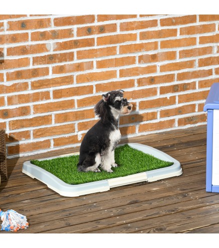 Inodoro para Perros