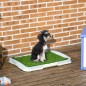 Inodoro para Perros Inodoro para Perros