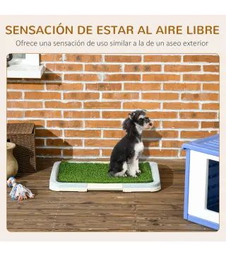 Inodoro para Perros