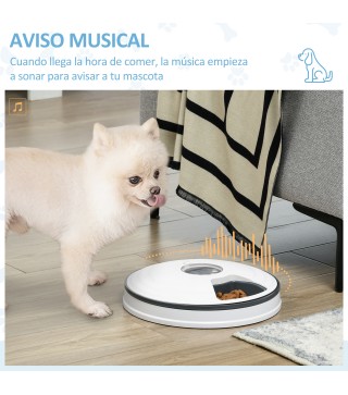 Alimentador Automático