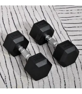 Juego de Mancuernas 2x10 kg con Barra de Conexión de Metal Cabeza Hexagonal para Entrenamiento en Casa Negro y Plata
