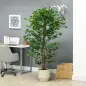 Planta Artificial con Troncos Naturales 180 cm Ficus Sintética con 1260 Hojas Decoración para Hogar Verde