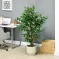 Planta Artificial con Troncos Naturales 150 cm Ficus Sintética con 882 Hojas Decoración para Hogar Verde