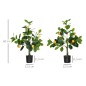 Planta Artificial Planta Artificial