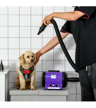 Secador de Pelo para Mascotas 2800W con Temperatura y Velocidad del Viento Ajustable 40x16x20 cm Negro y Púrpura