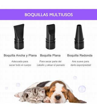 Secador de Pelo