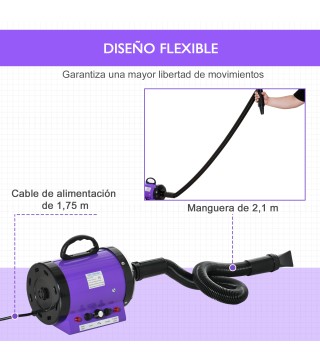 Secador de Pelo