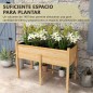 Mesa de Cultivo