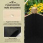 Mesa de Cultivo