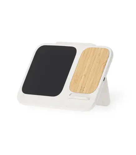 Cargador Tablet Escritura LCD Artic