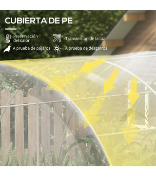 Invernadero de Túnel