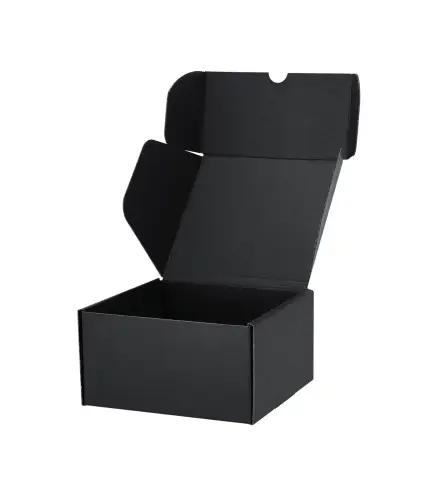 Caja Presentación Steffon