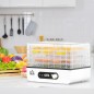 Deshidratador de Alimentos Deshidratador de Alimentos