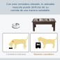 Comedero para Perros Comedero para Perros