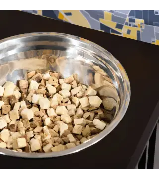 Comedero para Perros