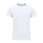 Camiseta Adulto Blanca Perkins