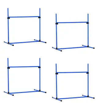 Set de Entrenamiento