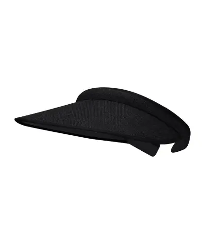 Visera