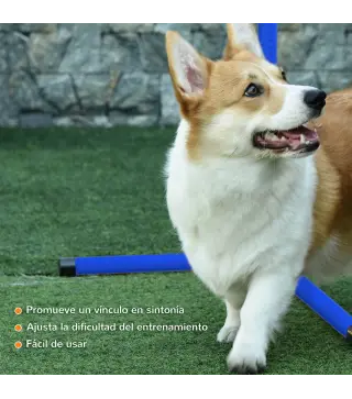 Set de Entrenamiento