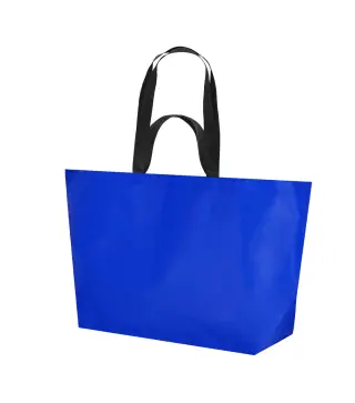 Bolsa Torvik