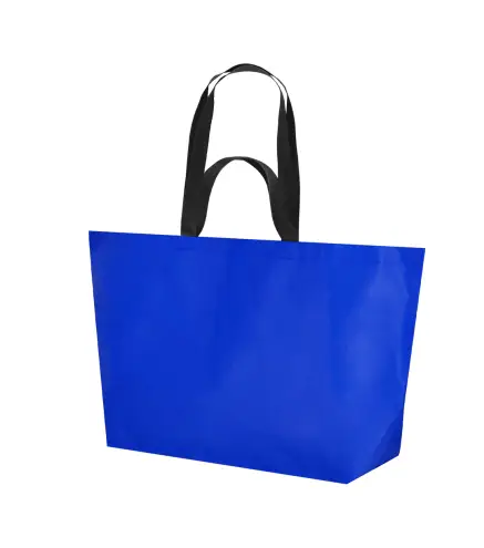 Bolsa Torvik