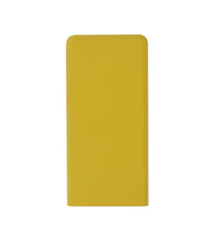 Power Bank Caplan