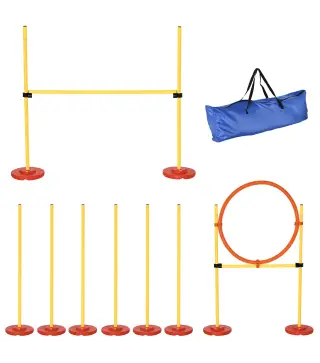 Equipo de Entrenamiento