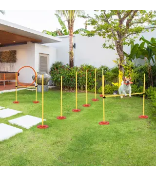 Equipo de Entrenamiento de Agilidad para Perros con Obstáculos de Salto Aro Valla de Altura Ajustable Amarillo