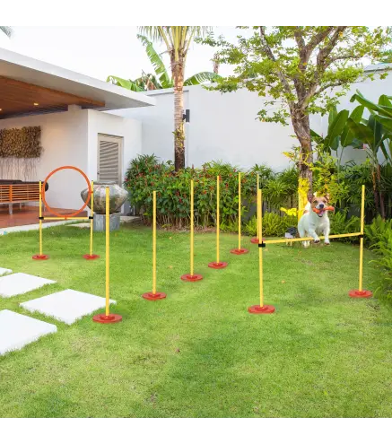 Equipo de Entrenamiento de Agilidad para Perros con Obstáculos de Salto Aro Valla de Altura Ajustable Amarillo